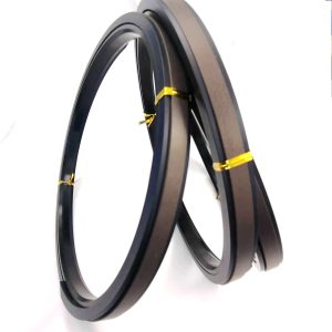 SPGW combined sealing cylinder piston sealing ring 200*177*15.5, china factory manufacturer