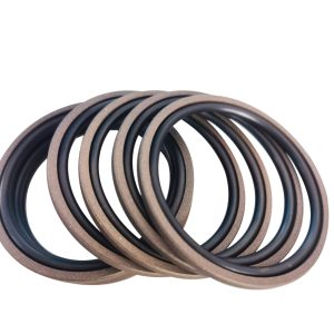 Hole with sealing ring Glycine ring step seal guide belt hydraulic cylinder complete set of seal, china factory manufacturer