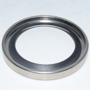 B2PTSS radial shaft seal