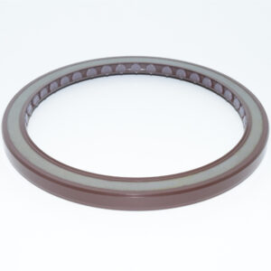 BABSL radial shaft seal
