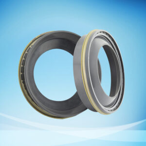 Bowl-shaped oil seal
