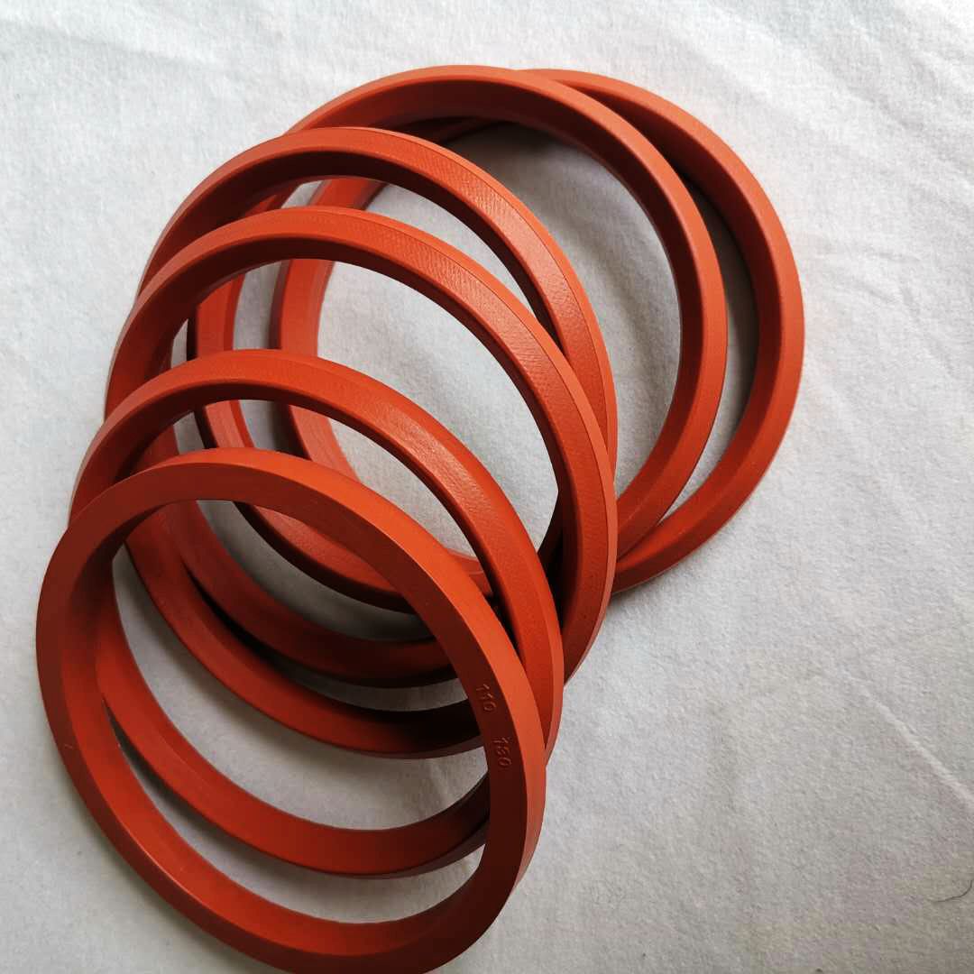 FKM V-seal sets