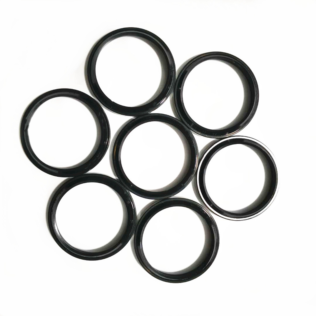 GA hydraulic dust seal