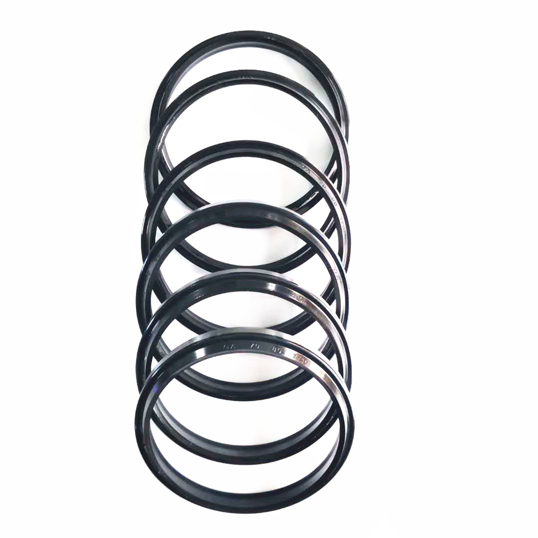 GA hydraulic dust seal