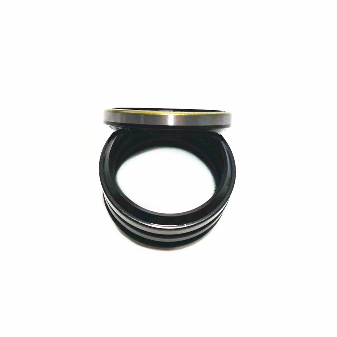 GA hydraulic dust seal