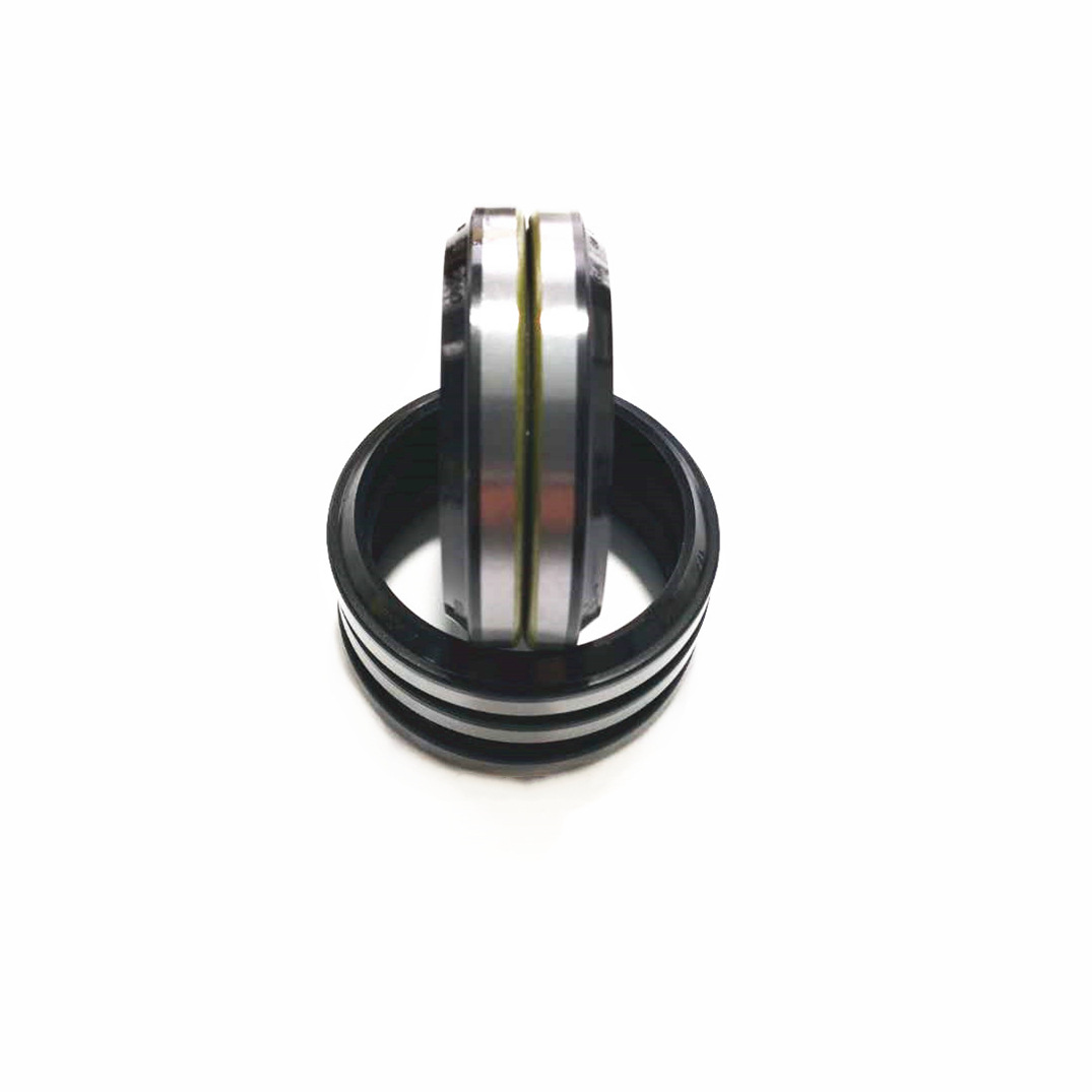GA hydraulic dust seal