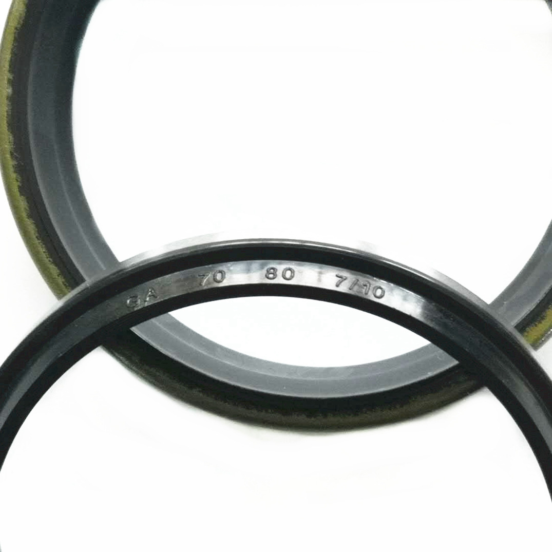 GA hydraulic dust seal