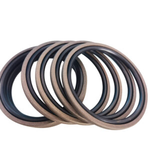 Hydraulic step seal repair kit