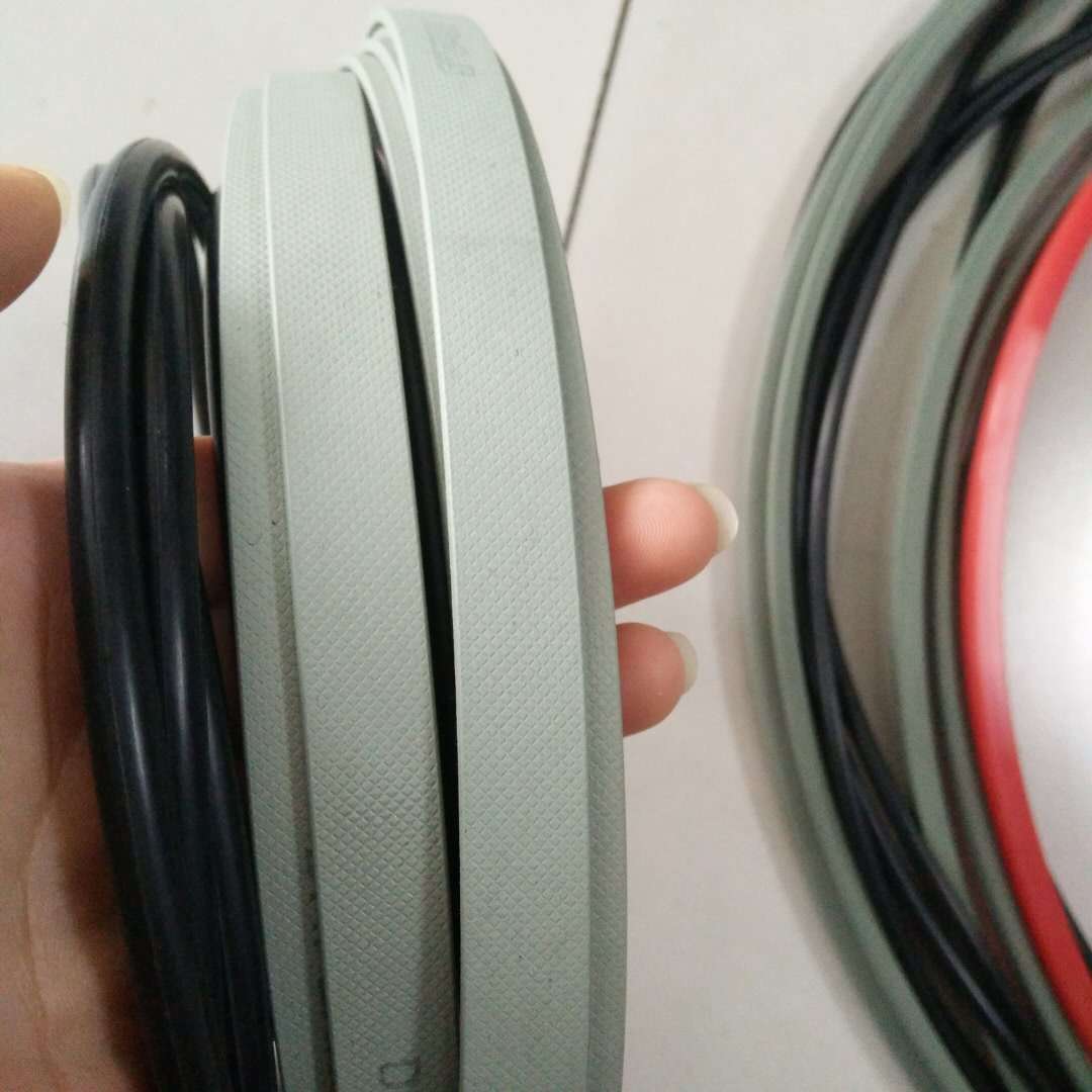 Roller press cylinder seal kit