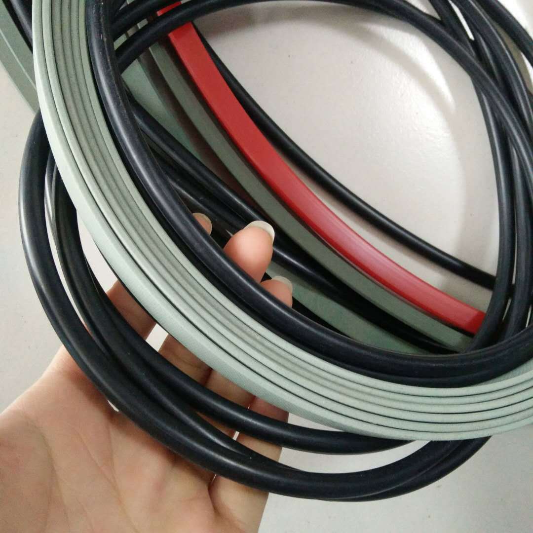 Roller press cylinder seal kit
