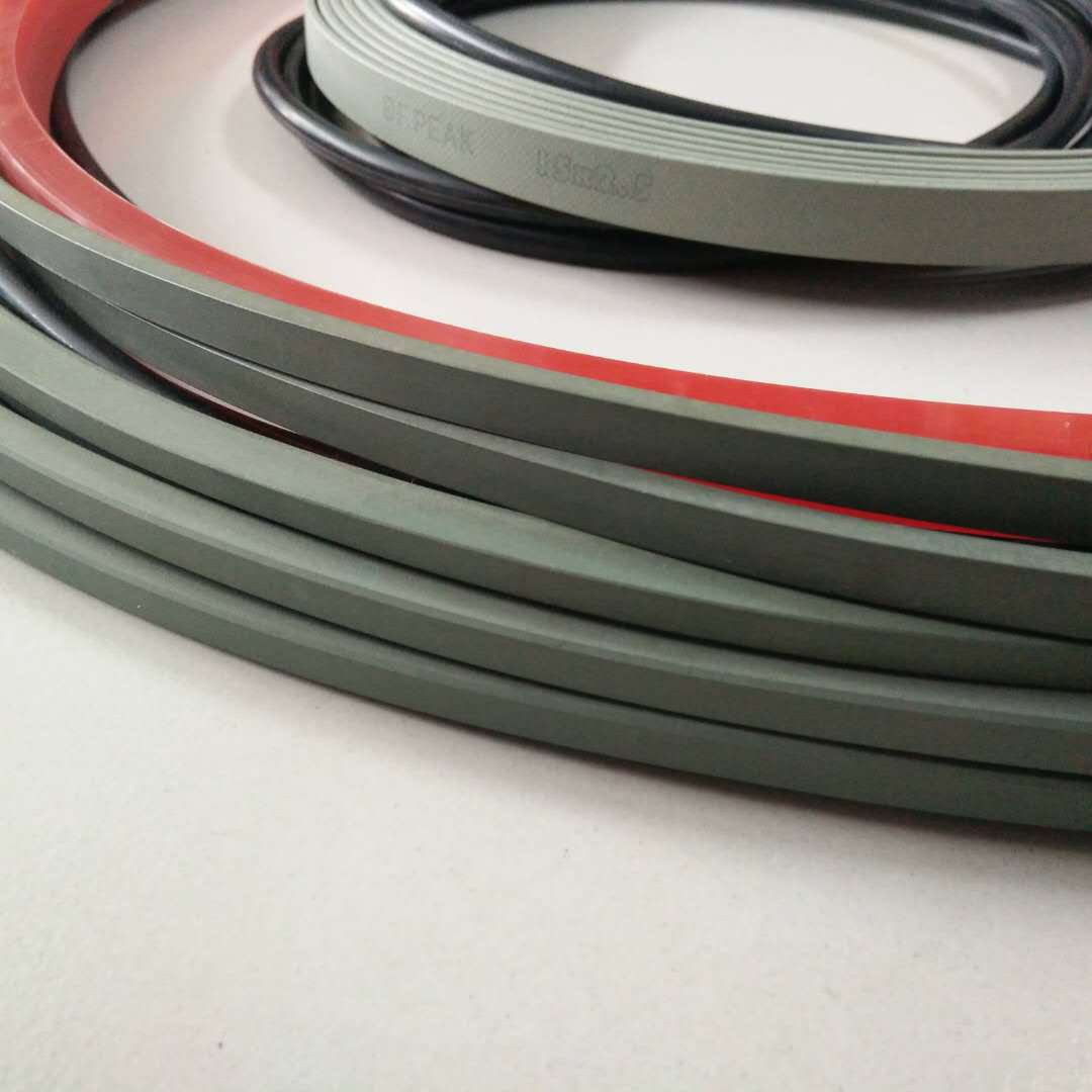 Roller press cylinder seal kit